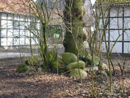 Bild 1 von 7 Findlinge